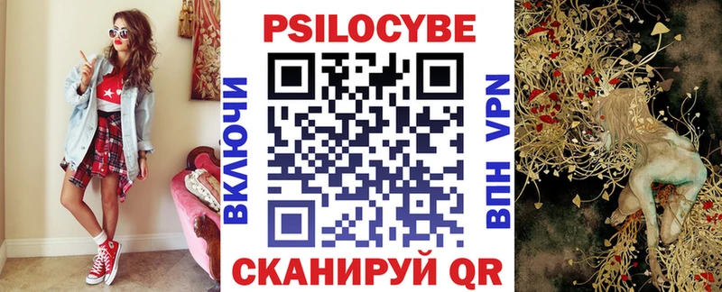 Купить где  Горбатов  Псилоцибиновые грибы Cubensis 
